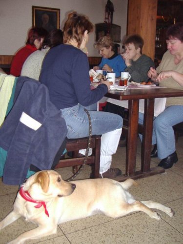 Silvestrovská vycházka do Hradčovic - 31.12.2005